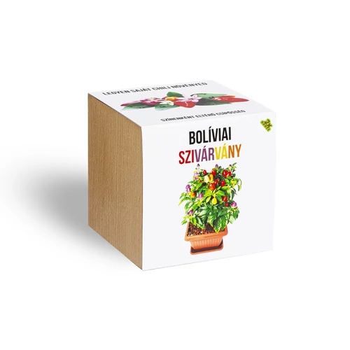 Bolíviai szivárvány chili paprika növényem fa kaspóban