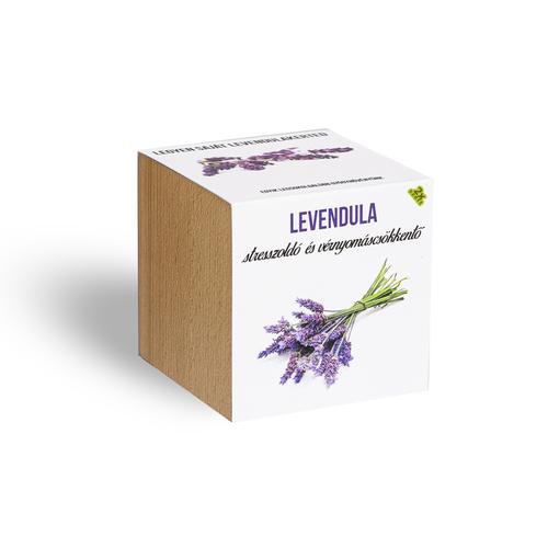 Levendula növényem fa kaspóban