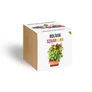 Kép 1/3 - Bolíviai szivárvány chili paprika növényem fa kaspóban