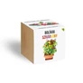 Kép 3/3 - Bolíviai szivárvány chili paprika növényem fa kaspóban
